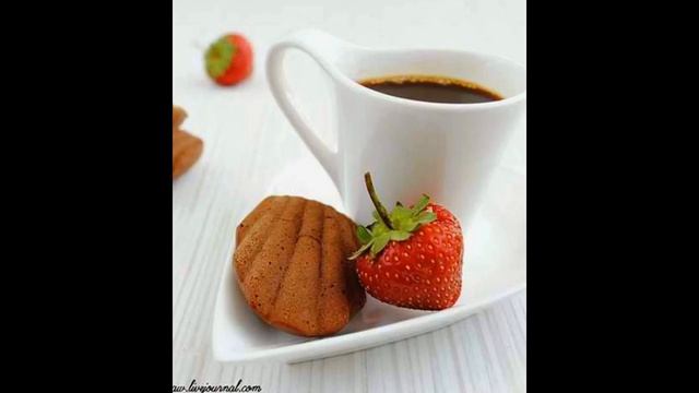 Домашние Животные и Их Уход