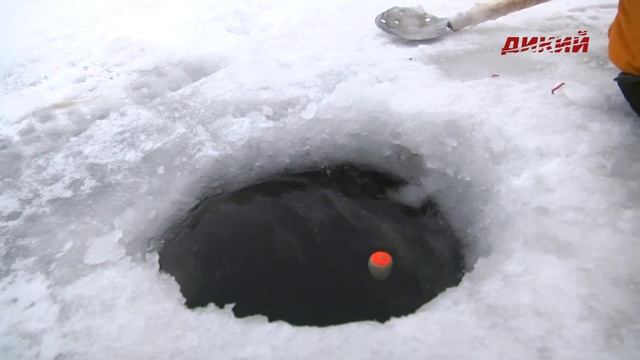 Секреты успеха. Зимний подлещик смотреть онлайн