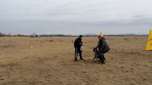 14.  выражено/перв OSTEN STERN OLEKSYA 2 (Napoli V. Bad-Boll – Osten Stern Olesya)