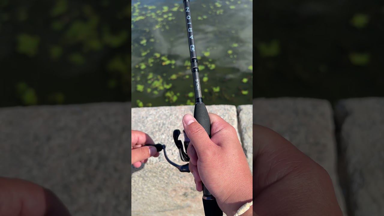 ✅ Повторять минимум раз в неделю #рыбалка #мемы #юмор смотреть онлайн