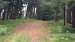 Экстримальные гонки в лесу на велосипедах