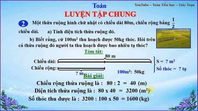 TOÁN LỚP 5 - Luyện tập chung (Trang 31) смотреть онлайн