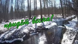 Андрей Шпехт -  Придёт Весна.mp4