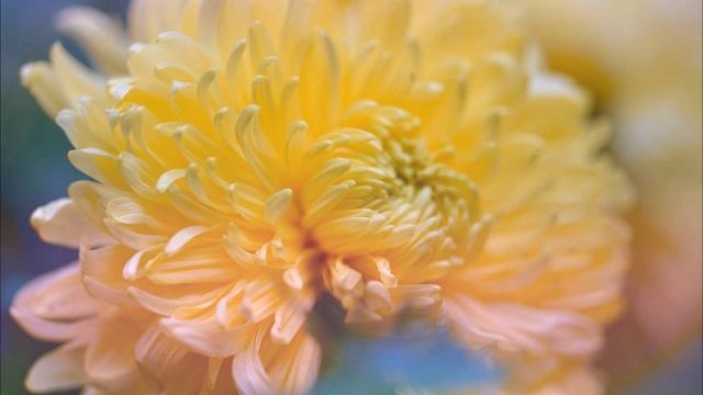 В духе полноты осознания. Часть 12 [аудиокнига, Nikosho] смотреть онлайн