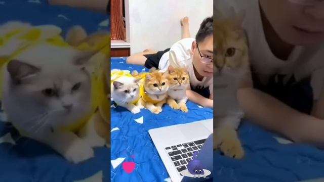 Ну очень интересное кино