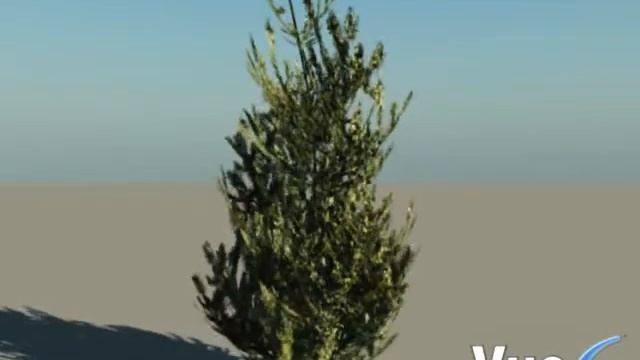 vue 6 windy tree смотреть онлайн