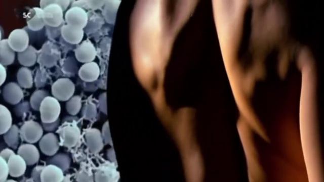 Проморолик для компании Devita-elis. Супер эффектные видео смотреть онлайн