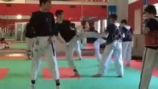 Тхеквондо дагестана смотреть онлайн