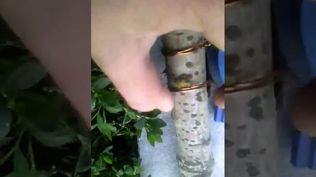 Как сделать самодельную удочку? смотреть онлайн