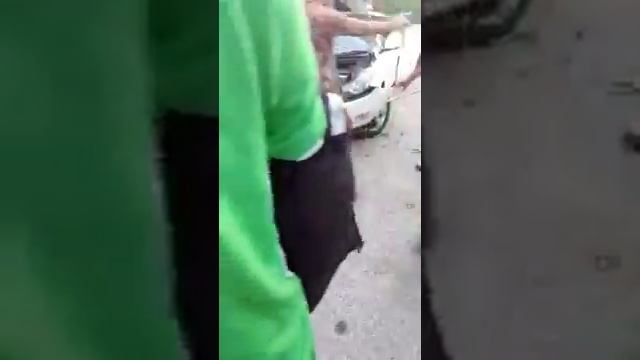 Питон застряла в бампере хундай смотреть онлайн