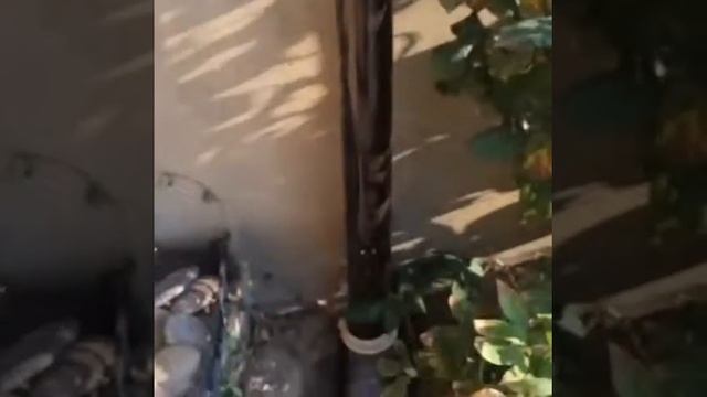 Кованый навес