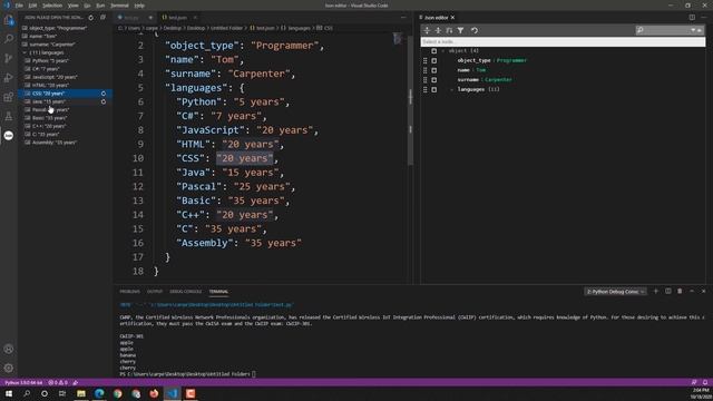 Python Intro Course - Episode 2 - Selecting an Integrated Development Environment смотреть онлайн