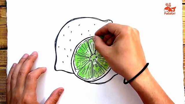 Как нарисовать ЛАЙМ / Учимся делать скетчи смотреть онлайн