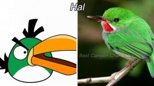 Angry Birds Characters In Real Life | All Characters