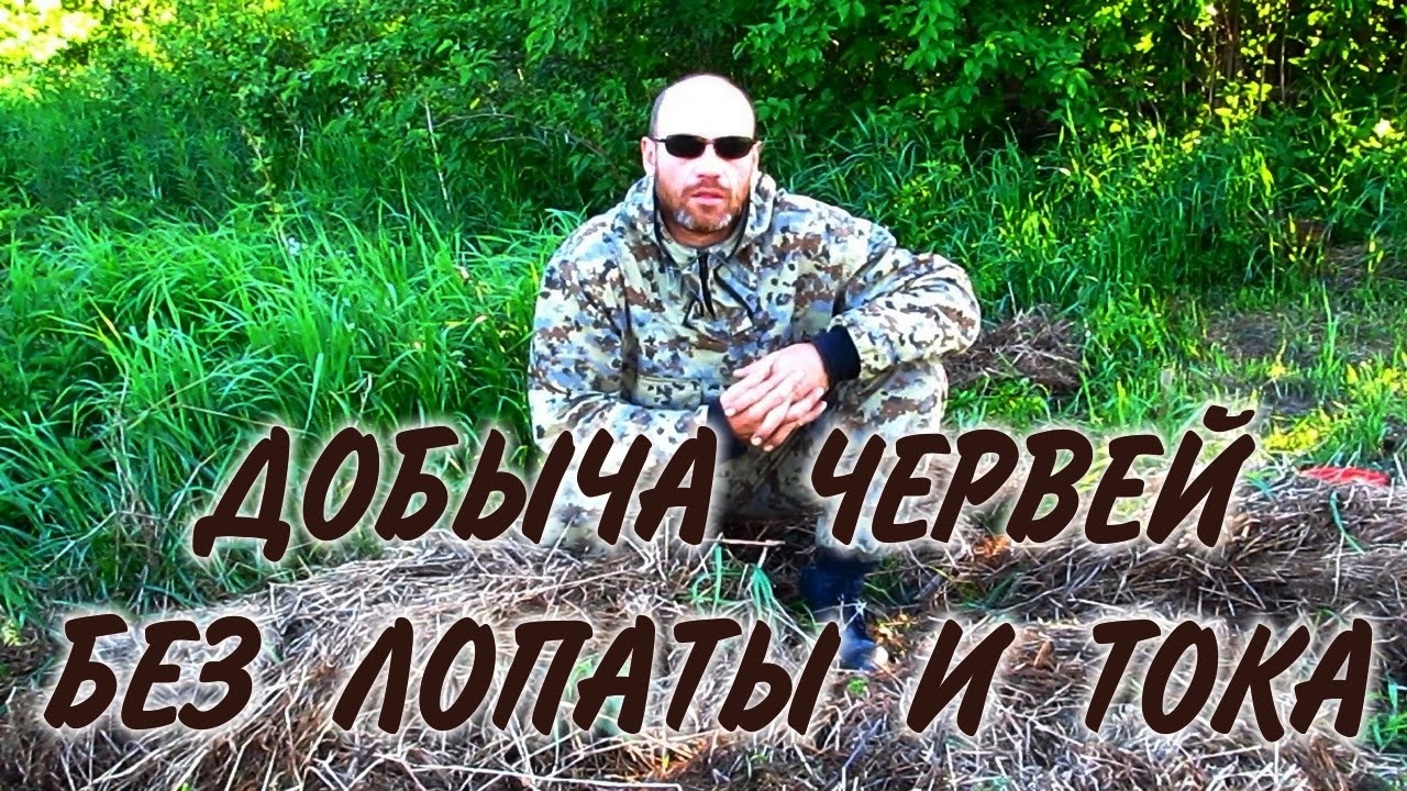 ЧЕРВИ ДЛЯ РЫБАЛКИ. Как добыть червей там где их нет. Где накопать червей без лопаты и грунта. смотреть онлайн