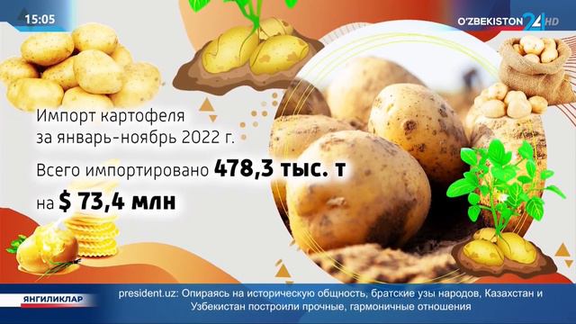 Новости 24 | В Узбекистан импортировано 478,3 тыс. тонн картофеля смотреть онлайн