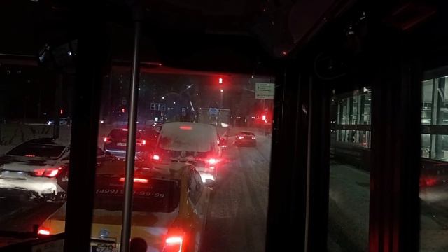 Проводники начали сходить с ума. Вы вживають всех - от котов до людей смотреть онлайн