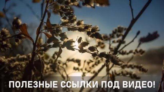 Что значит для вас наш новый 10 D Сирианский альянс-ченнелинг смотреть онлайн