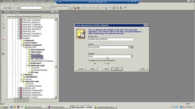 Oracle Designer - 05 Crear un item sin consolidar смотреть онлайн