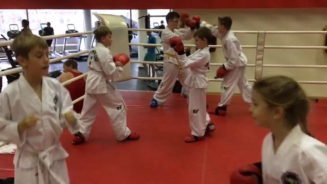 Тренировка Таеквон-до МФТ (ИТФ) Отработка передвижений и ударов // Taekwondo ITF Training смотреть онлайн