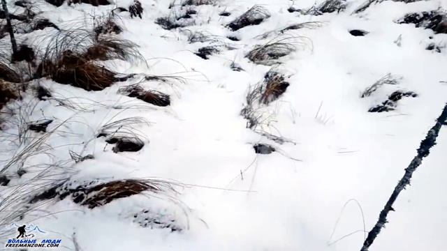 ЗИМОВЬЕ В ЛЕСУ. ПОИСК МЕСТА ПОД ШАЛАШ. Жилье в лесу на длительный срок. Бушкрафт. Выживание. смотреть онлайн