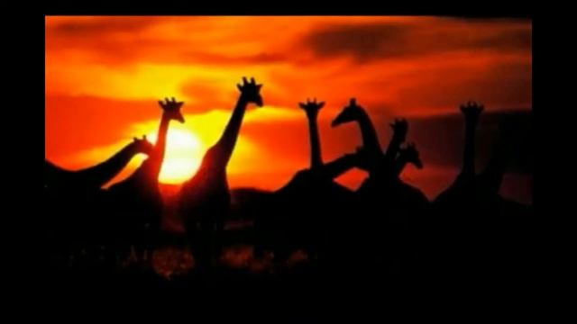 Гумилев - Жираф смотреть онлайн