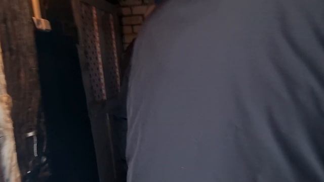 Дом в деревне Ново. Начальный осмотр смотреть онлайн