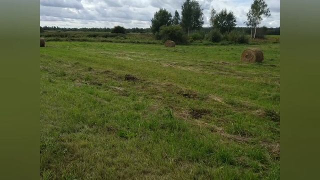 Сочинение на тему: как я провёл лето) смотреть онлайн