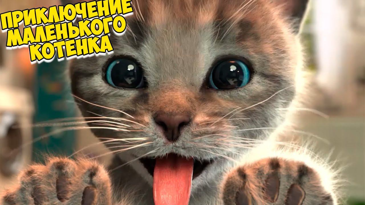 Мой милый котенокПраздник для котика Игра про кота смотреть онлайн