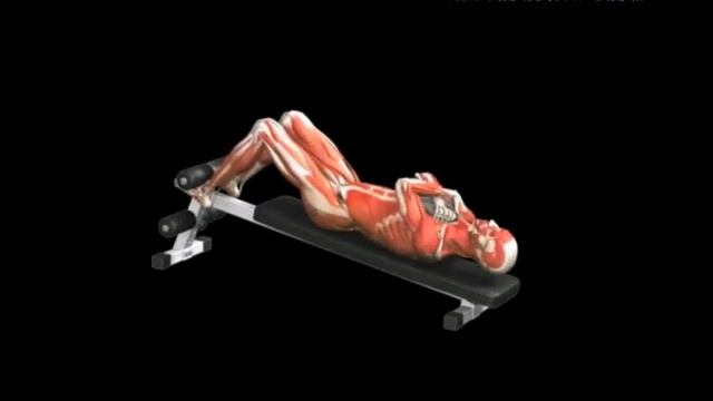 Подъем туловища на пресс лежа с обратным наклоном Incline Sit up смотреть онлайн
