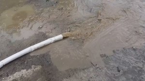 denzel dp 1100x drainage pump осушка смотровой ямы