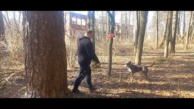 Сила есть ума не надо,Вырабатываем хват смотреть онлайн