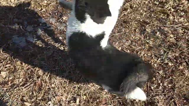 РЕЛ Кнопа и Катя! Нам 4-е месяца!