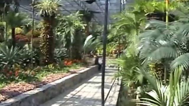 Тропический сад Нонг Нуч (Nong Nooch Tropical Garden) смотреть онлайн