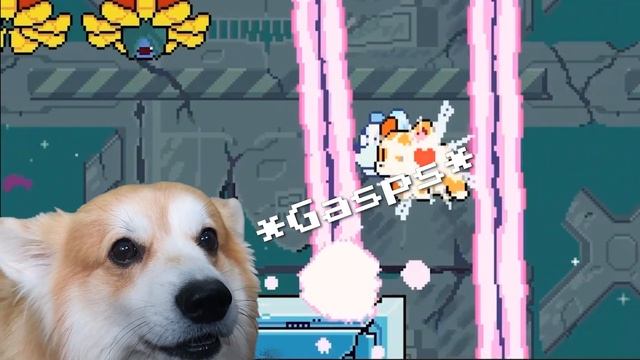Real Corgi Reacts to ProtoCorgi Trailer! смотреть онлайн