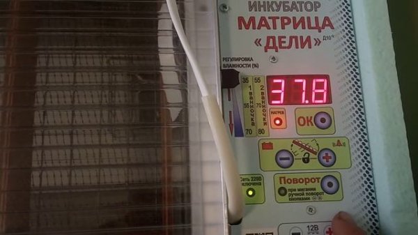 Обзор инкубатора матрица дели)) просто блиц! Как настроить этот инкубатор? Из чего же он сделан?