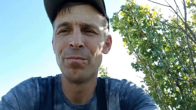 Охота. На ягоды. Рассказ о рыбалке. смотреть онлайн