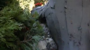 имитация сухого дерева из арт бетона