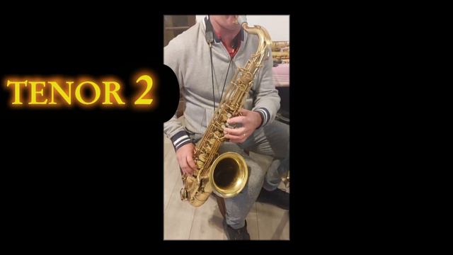 Test saxophones tenor, selmer référence 36, yamaha, yanagisawa et autres смотреть онлайн