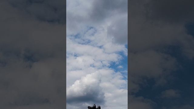 Andro & The Limba - X.O, кусочек песни спел, чуть-чуть буквально🤣#музыка#песня#тренды#любовь#шортс смотреть онлайн