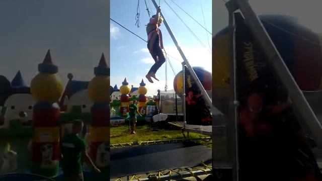 Картинка мандаринка смотреть онлайн