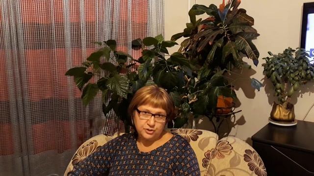 УКРАЛИ ТЕЛЕФОН В ЛЕРУА МЕРЛЕН И КАК ПОЛИЦИЯ ЕГО "ИСКАЛА" !!!! смотреть онлайн