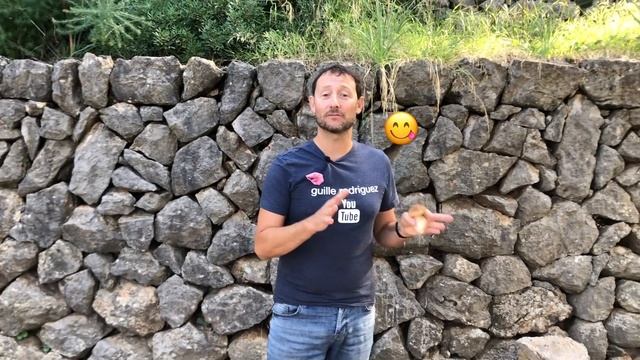 CÓMO LIMPIAR Y CONSERVAR BOLETUS CORRECTAMENTE - GUILLE RODRIGUEZ смотреть онлайн