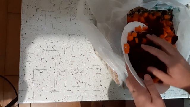 ПРАВИЛЬНОЕ ПИТАНИЕ ДЛЯ ПОПУГАЕВ ЖАКО / часть вторая / Эврика смотреть онлайн