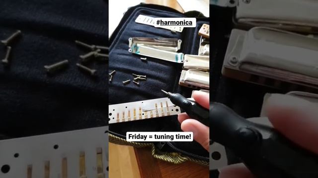 Tuning a diatonic harmonica with engraver tool смотреть онлайн