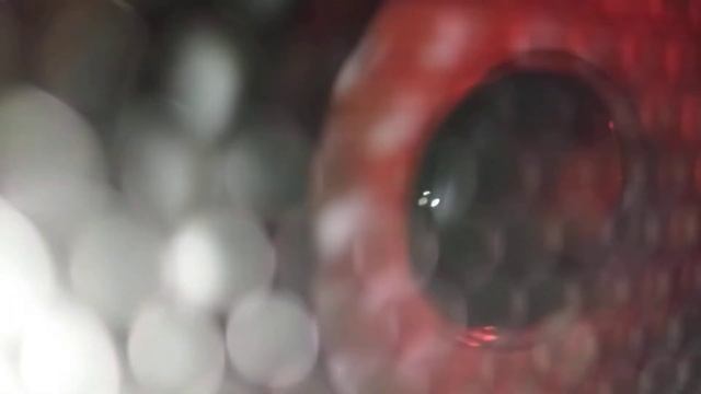 anker soundcore select pro смотреть онлайн