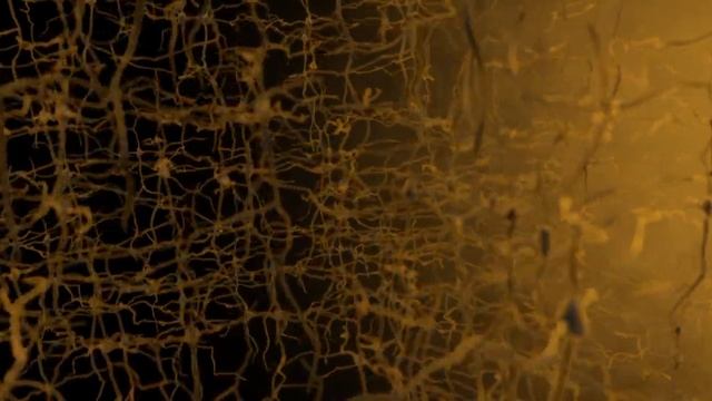 Нейронная сеть смотреть онлайн