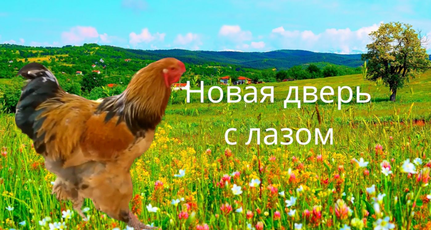 Дверь в курятник с лазом смотреть онлайн