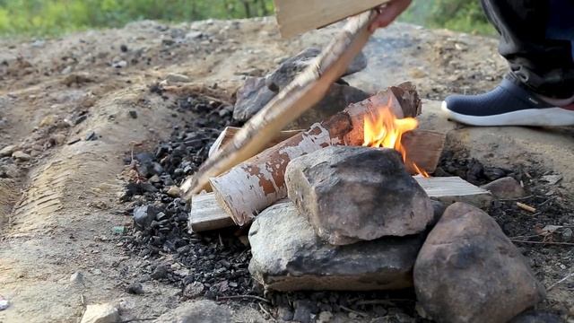 Цирковые Шоу с Трюками и Фокусами