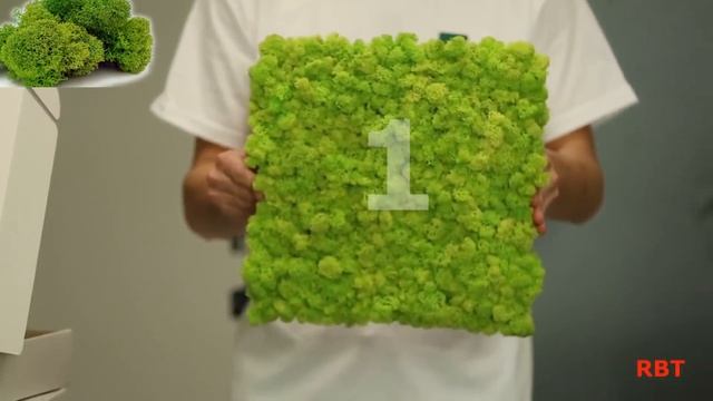 Бизнес на стабилизированном мхе! смотреть онлайн